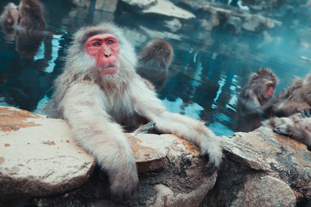 taking a bath